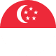 SGD flag